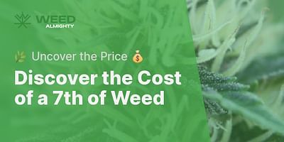 Discover the Cost of a 7th of Weed - 🌿 Uncover the Price 💰