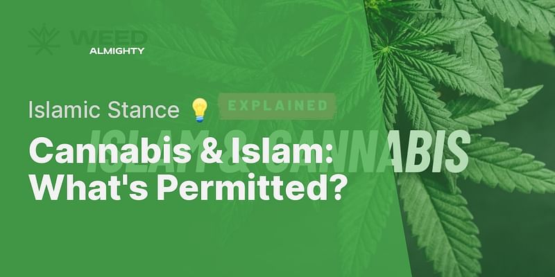 Cannabis & Islam: What's Permitted? - Islamic Stance 💡