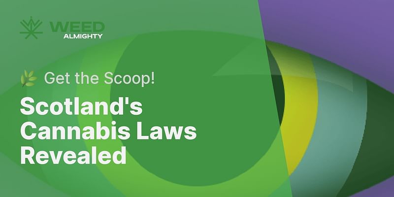 Scotland's Cannabis Laws Revealed - 🌿 Get the Scoop!