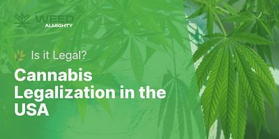 Cannabis Legalization in the USA - 🌿 Is it Legal?