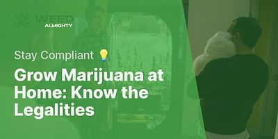 Grow Marijuana at Home: Know the Legalities - Stay Compliant 💡