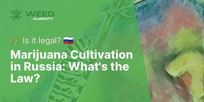 Marijuana Cultivation in Russia: What's the Law? - 🌿 Is it legal? 🇷🇺