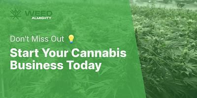 Start Your Cannabis Business Today - Don't Miss Out 💡