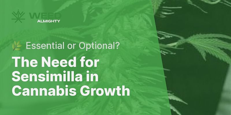 The Need for Sensimilla in Cannabis Growth - 🌿 Essential or Optional?