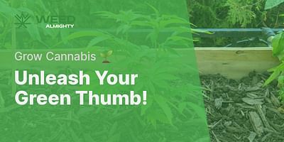 Unleash Your Green Thumb! - Grow Cannabis 🌱
