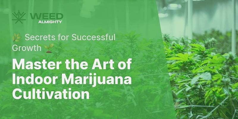 Master the Art of Indoor Marijuana Cultivation - 🌿 Secrets for Successful Growth 🌱