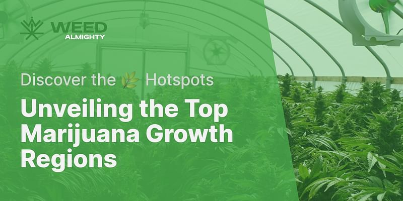 Unveiling the Top Marijuana Growth Regions - Discover the 🌿 Hotspots