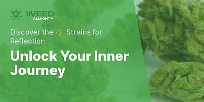 Unlock Your Inner Journey - Discover the 🌿 Strains for Reflection