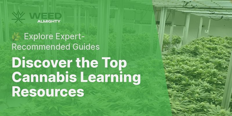 Discover the Top Cannabis Learning Resources - 🌿 Explore Expert-Recommended Guides