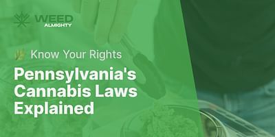 Pennsylvania's Cannabis Laws Explained - 🌿 Know Your Rights