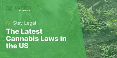 The Latest Cannabis Laws in the US - 🌿 Stay Legal