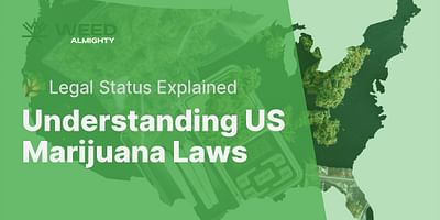 Understanding US Marijuana Laws - 🌿 Legal Status Explained