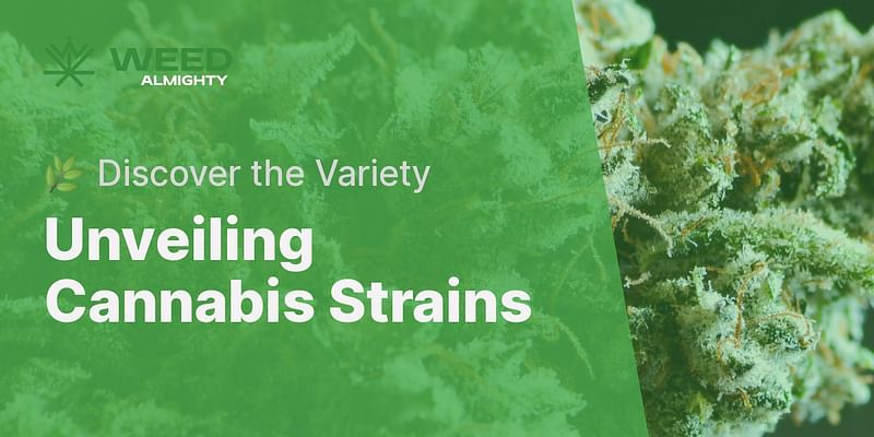 Unveiling Cannabis Strains - 🌿 Discover the Variety