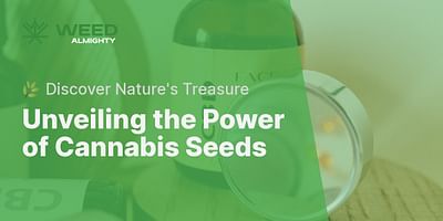Unveiling the Power of Cannabis Seeds - 🌿 Discover Nature's Treasure