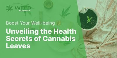 Unveiling the Health Secrets of Cannabis Leaves - Boost Your Well-being 🌿