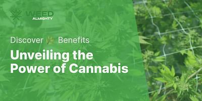 Unveiling the Power of Cannabis - Discover 🌿 Benefits
