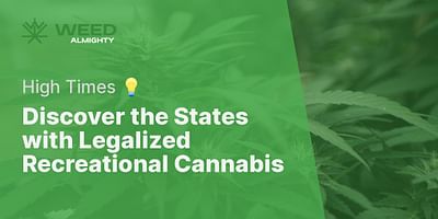 Discover the States with Legalized Recreational Cannabis - High Times 💡