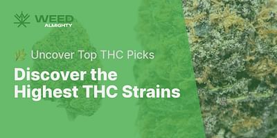 Discover the Highest THC Strains - 🌿 Uncover Top THC Picks