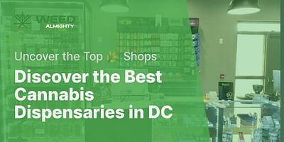 Discover the Best Cannabis Dispensaries in DC - Uncover the Top 🌿 Shops