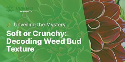 Soft or Crunchy: Decoding Weed Bud Texture - 🌿 Unveiling the Mystery