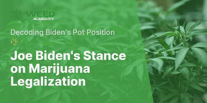 Joe Biden's Stance on Marijuana Legalization - Decoding Biden's Pot Position 🌿