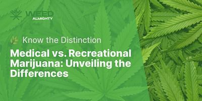 Medical vs. Recreational Marijuana: Unveiling the Differences - 🌿 Know the Distinction