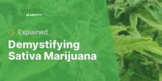 Demystifying Sativa Marijuana - 🌿 Explained