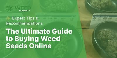 The Ultimate Guide to Buying Weed Seeds Online - 🌿 Expert Tips & Recommendations