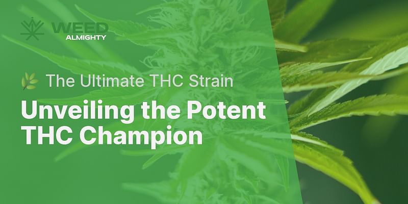 Unveiling the Potent THC Champion - 🌿 The Ultimate THC Strain