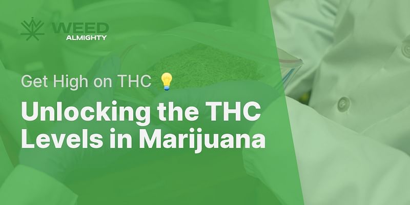 Unlocking the THC Levels in Marijuana - Get High on THC 💡