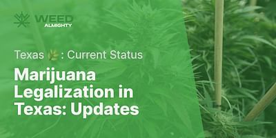 Marijuana Legalization in Texas: Updates - Texas 🌿: Current Status