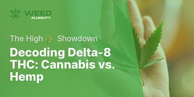 Decoding Delta-8 THC: Cannabis vs. Hemp - The High 🌿 Showdown