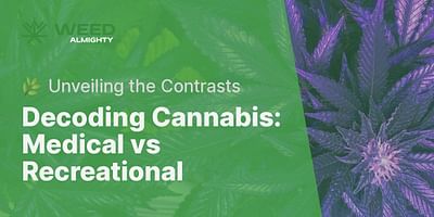 Decoding Cannabis: Medical vs Recreational - 🌿 Unveiling the Contrasts