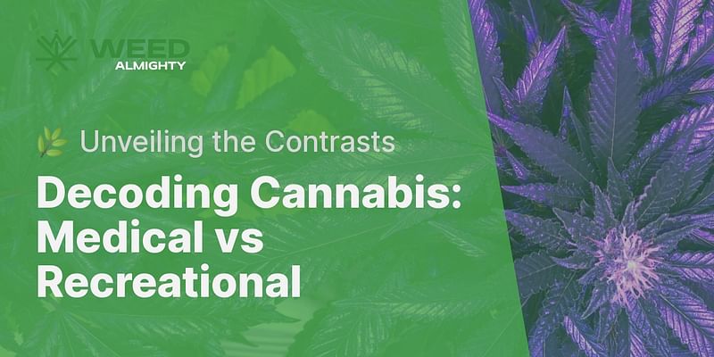 Decoding Cannabis: Medical vs Recreational - 🌿 Unveiling the Contrasts