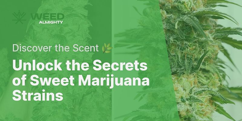 Unlock the Secrets of Sweet Marijuana Strains - Discover the Scent 🌿