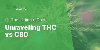 Unraveling THC vs CBD - 🌿 The Ultimate Guide