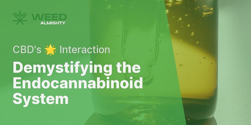 Demystifying the Endocannabinoid System - CBD's 🌟 Interaction