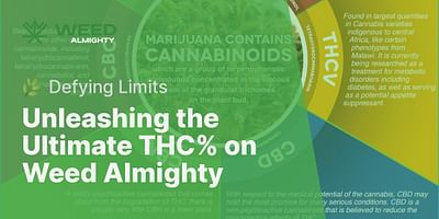 Unleashing the Ultimate THC% on Weed Almighty - 🌿 Defying Limits