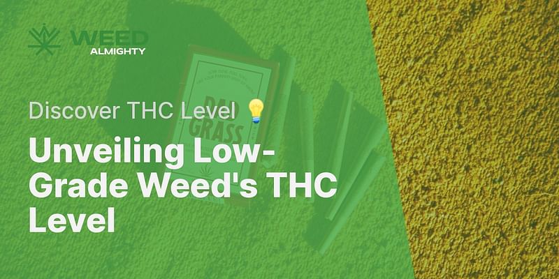 Unveiling Low-Grade Weed's THC Level - Discover THC Level 💡