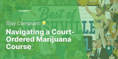 Navigating a Court-Ordered Marijuana Course - Stay Compliant 💡