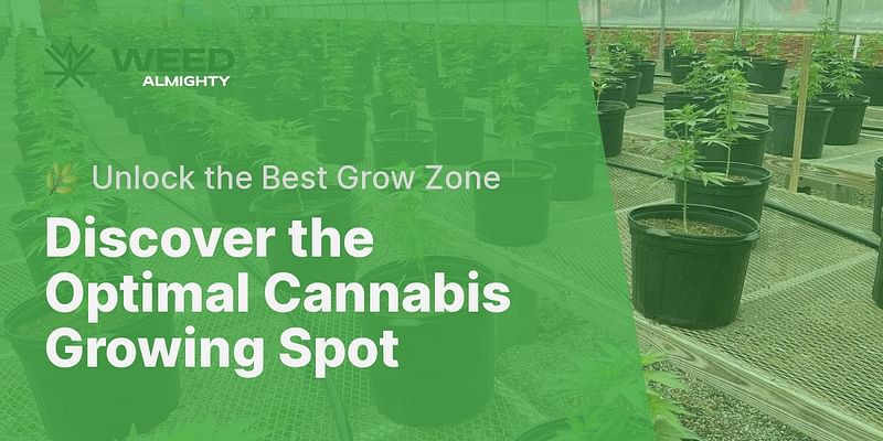 Discover the Optimal Cannabis Growing Spot - 🌿 Unlock the Best Grow Zone