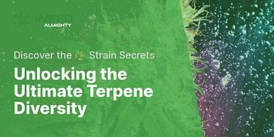 Unlocking the Ultimate Terpene Diversity - Discover the 🌿 Strain Secrets