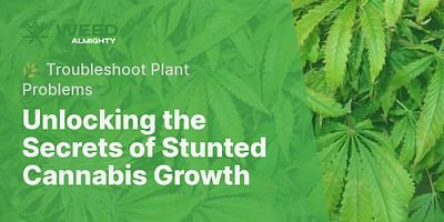 Unlocking the Secrets of Stunted Cannabis Growth - 🌿 Troubleshoot Plant Problems