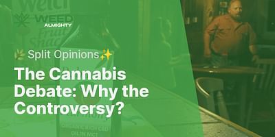 The Cannabis Debate: Why the Controversy? - 🌿Split Opinions✨