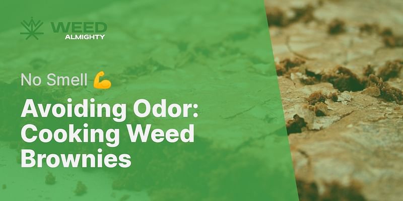 Avoiding Odor: Cooking Weed Brownies - No Smell 💪