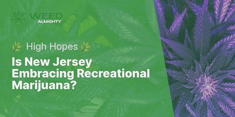 Is New Jersey Embracing Recreational Marijuana? - 🌿 High Hopes 🌿