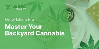 Master Your Backyard Cannabis - Grow Like a Pro