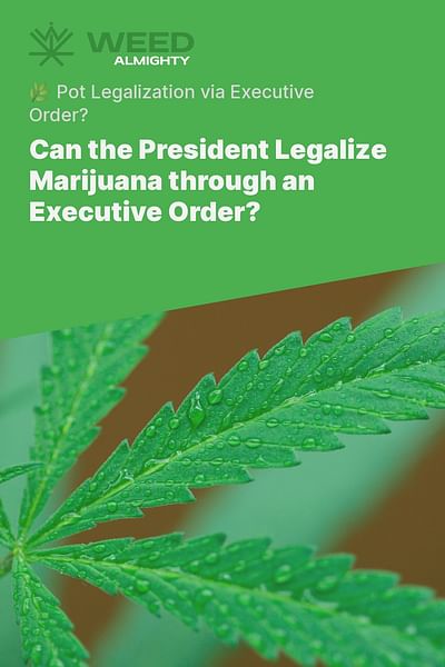 Can the President Legalize Marijuana through an Executive Order? - 🌿 Pot Legalization via Executive Order?
