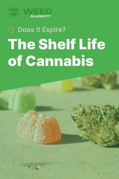 The Shelf Life of Cannabis - 🌿 Does It Expire?