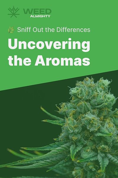 Uncovering the Aromas - 🌿 Sniff Out the Differences